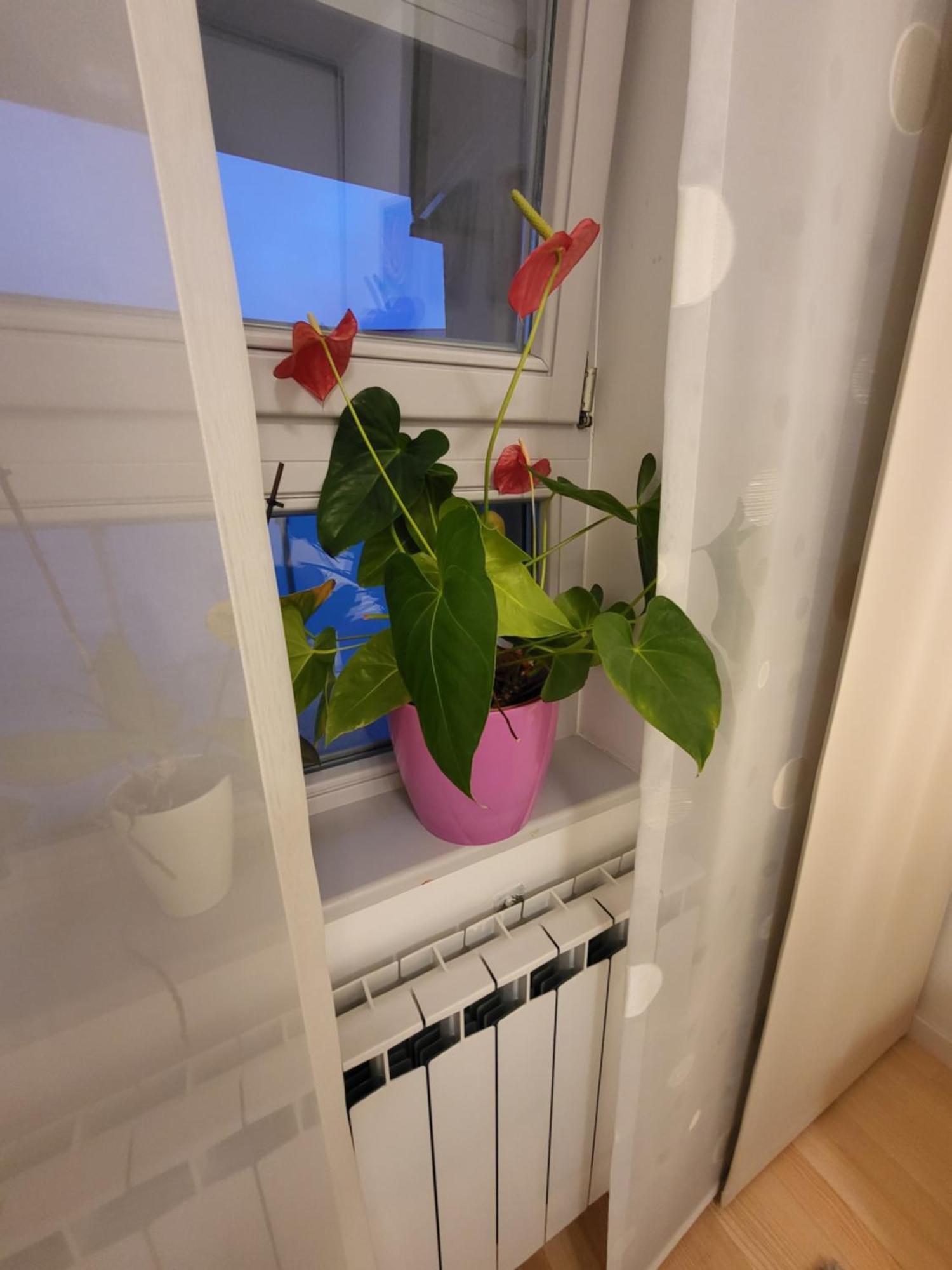 Apartman Jarun Lake Lux Zagreb Buitenkant foto
